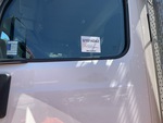 General Appearance with Pintura