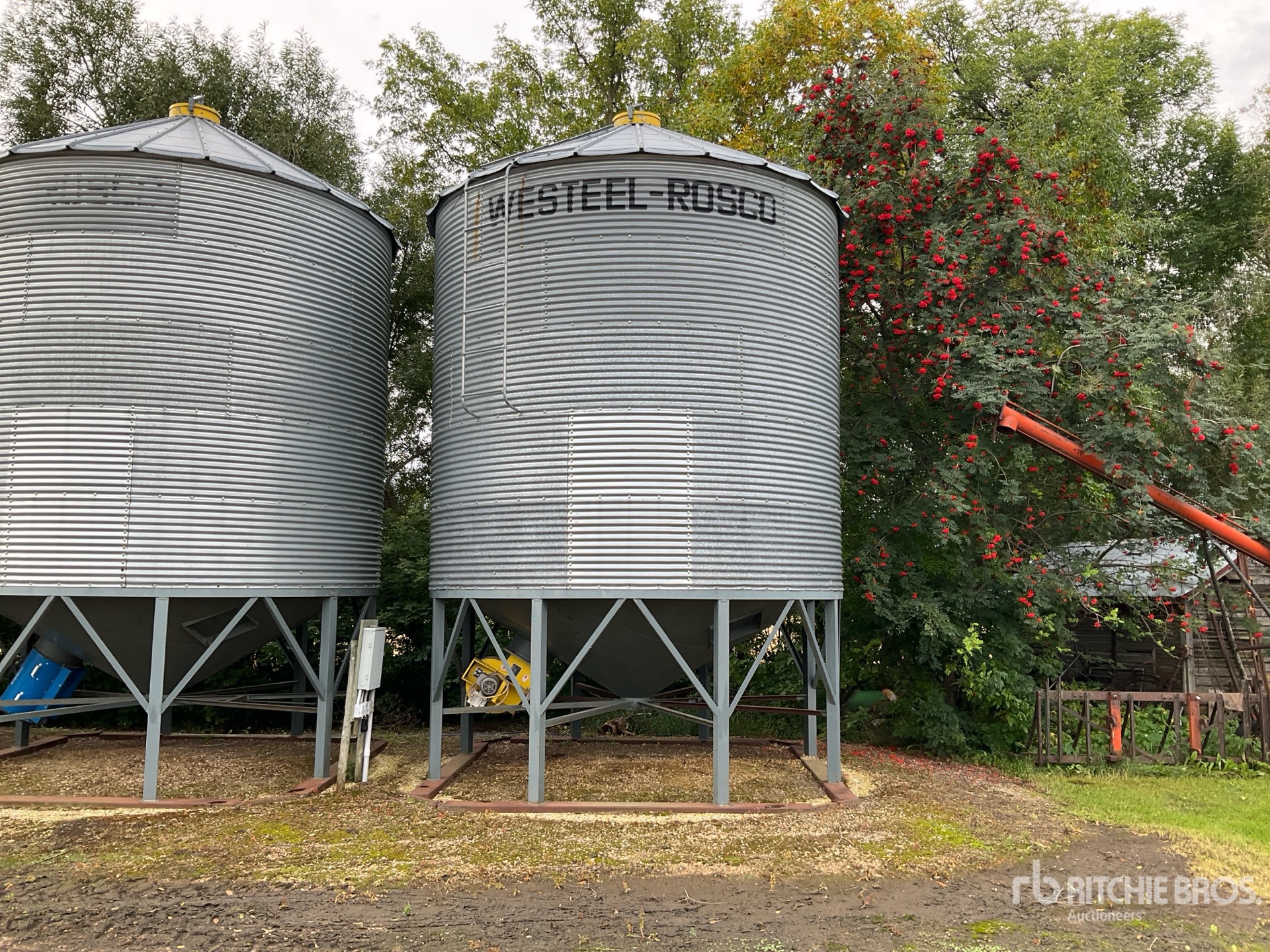Westeel 145