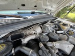 Engine with Fuel System