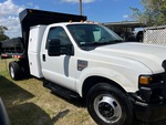 General Appearance with Paint