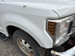 General Appearance with Paint