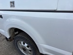 General Appearance with Paint