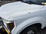General Appearance with Pintura
