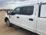 General Appearance with Pintura
