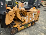 General Appearance with Paint