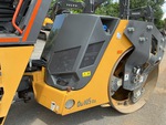 General Appearance with Paint