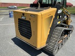 General Appearance with Paint
