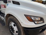 General Appearance with Paint