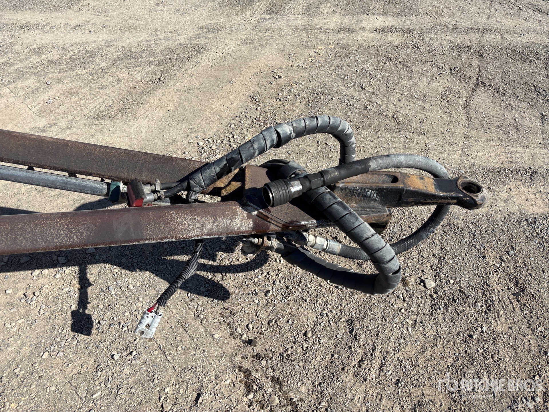 2020 Hercules Quad Dog