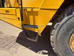 General Appearance with Paint
