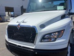 General Appearance with Pintura