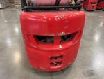 General Appearance with Paint