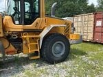 General Appearance with Paint