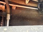 Engine with Radiator