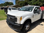 General Appearance with Paint