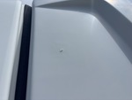 General Appearance with Paint