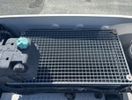 Engine with Radiator