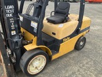 General Appearance with Paint
