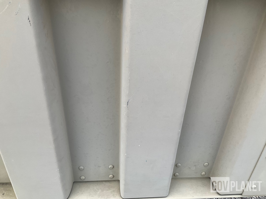 General Appearance with Paint