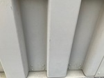 General Appearance with Paint