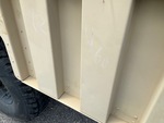 General Appearance with Paint