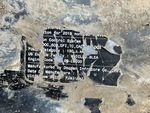 Motore with Emission Label