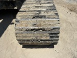 Undercarriage with Left Track Shoes