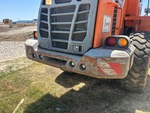 General Appearance with Paint