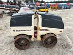 General Appearance with Paint