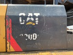 General Appearance with Paint