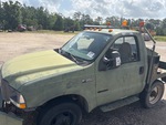 General Appearance with Paint