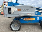 General Appearance with Paint