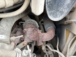 Engine with Exhaust System
