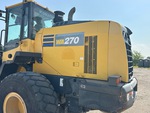 General Appearance with Paint