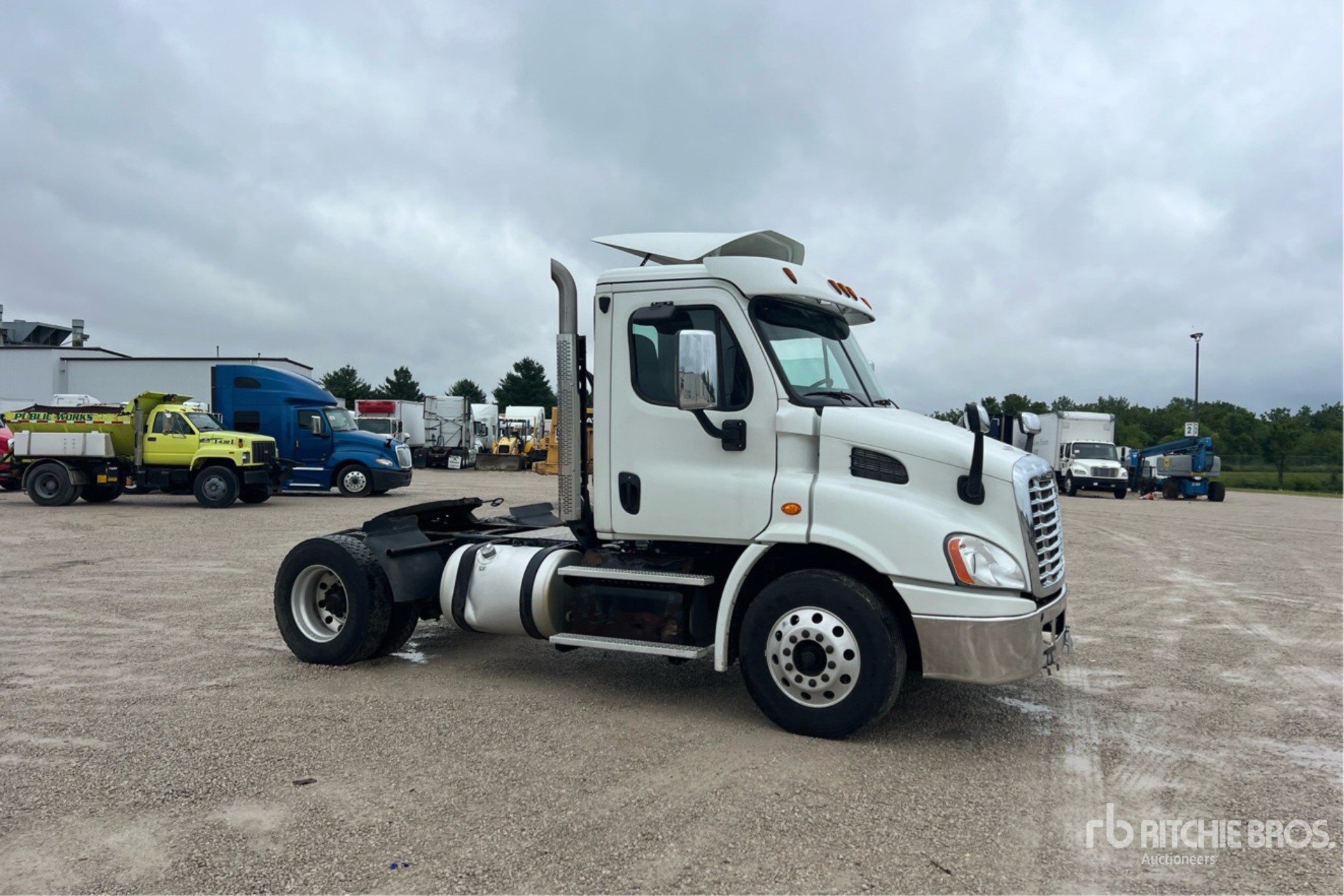 2019 Freightliner CASCADIA 113