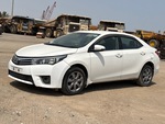 General Appearance with Featured Photo
