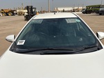 General Appearance with Glass