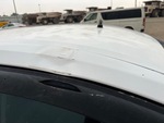 General Appearance with Paint