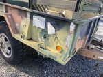 General Appearance with Paint
