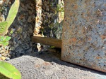 Specialty with