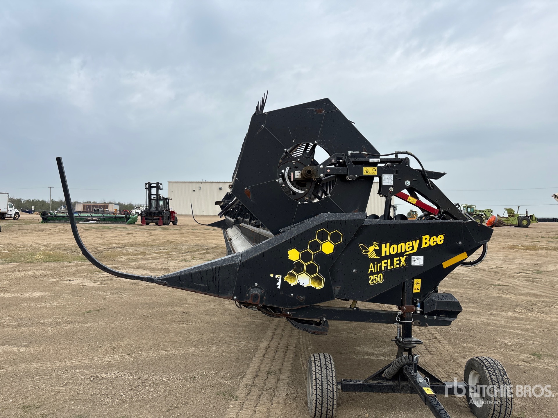 2019 Honey Bee AF50