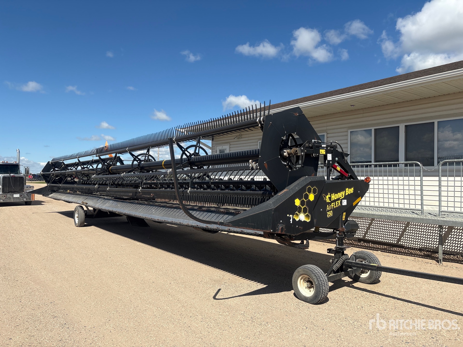 Photo of a 2019 Honey Bee AF50