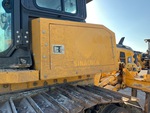 General Appearance with Paint
