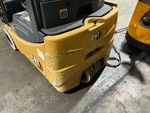 General Appearance with Paint