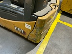 General Appearance with Paint