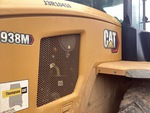 General Appearance with Paint