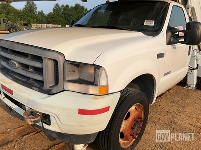 General Appearance with Paint