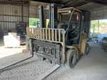 General Appearance with Paint