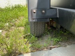 Trailer Chassis with Right Rear Tire