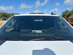 General Appearance with Glass